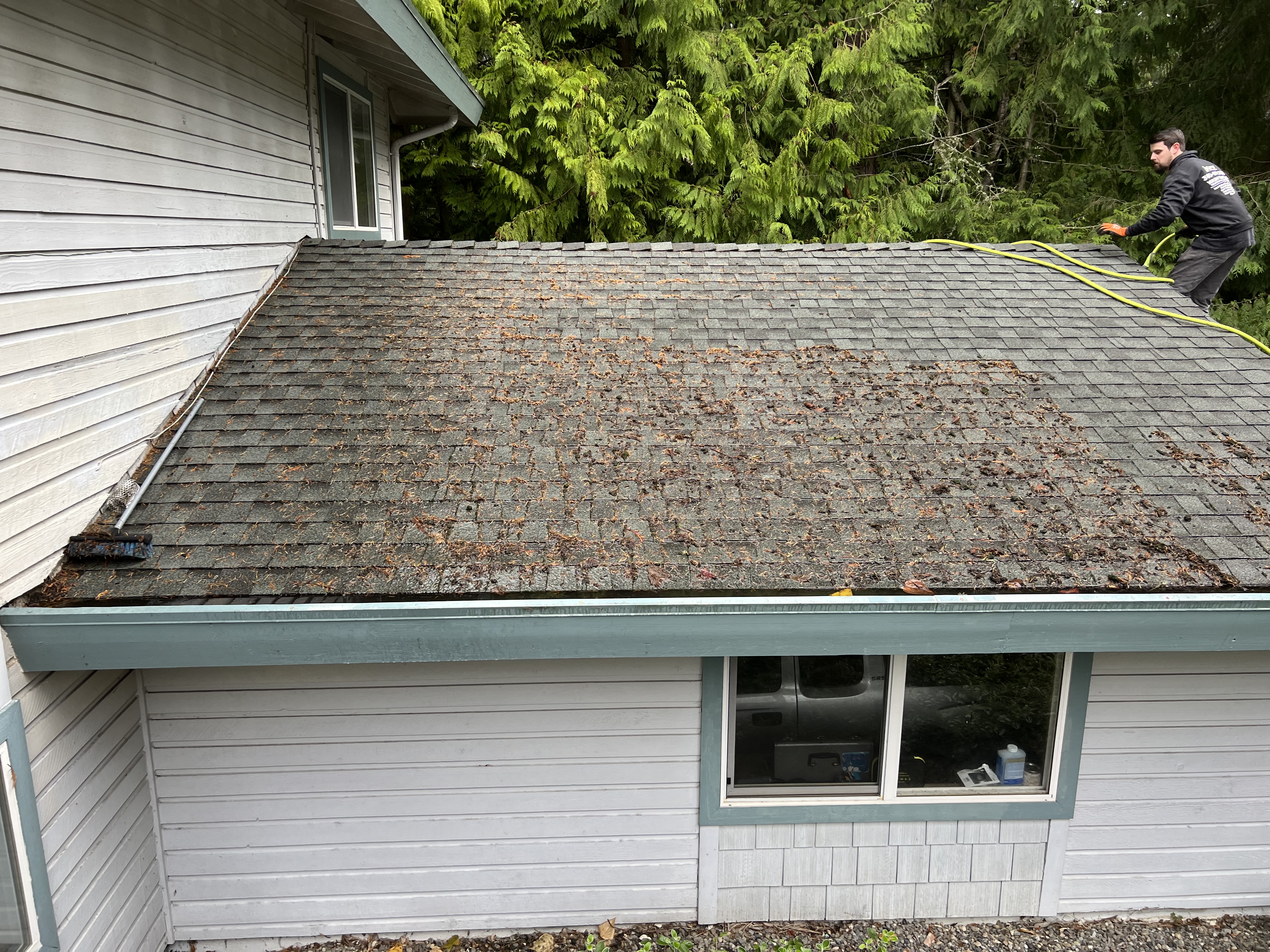 Top Quality Roof Moss Treatment and Gutter Cleaning in Lakewood, WA